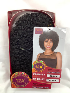 PA-DAISY
